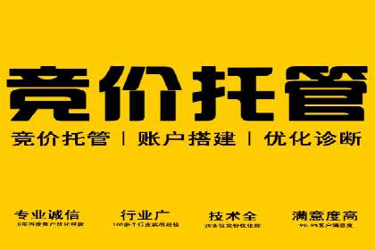 提升SEM效果：从数据看优化案例分析